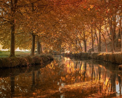 Persona estirándose suavemente en la sala de su casa